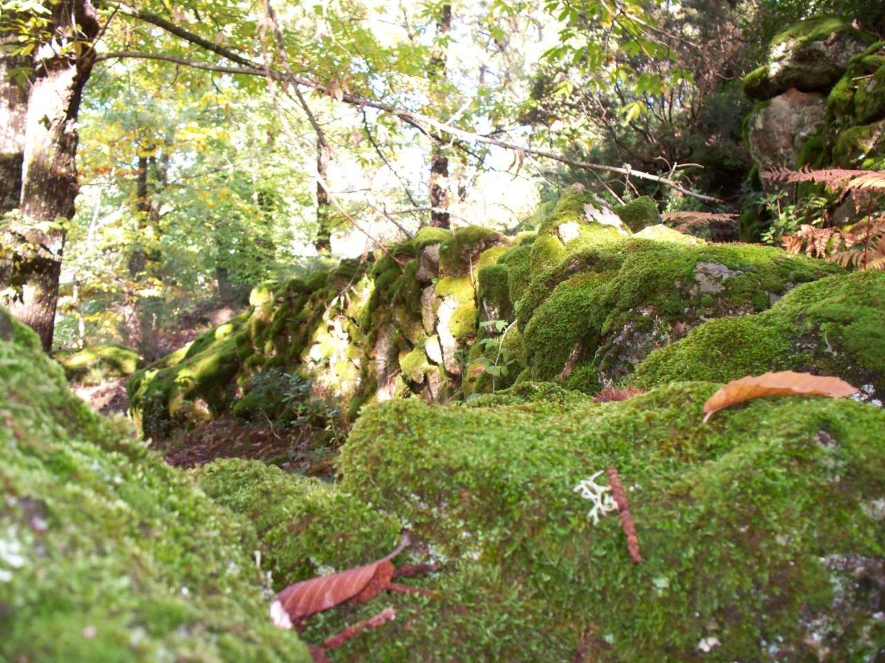 El Roble * Valverde de la Vera