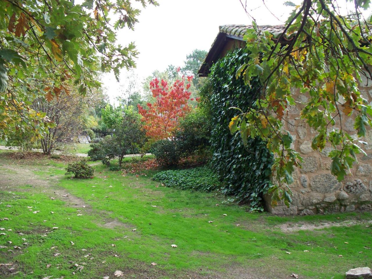 El Roble