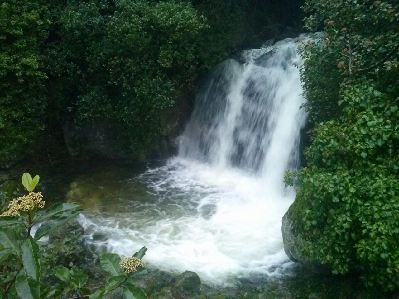 El Roble * Valverde de la Vera